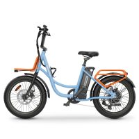 【KuKirin hidoes c6】250W E-Bike